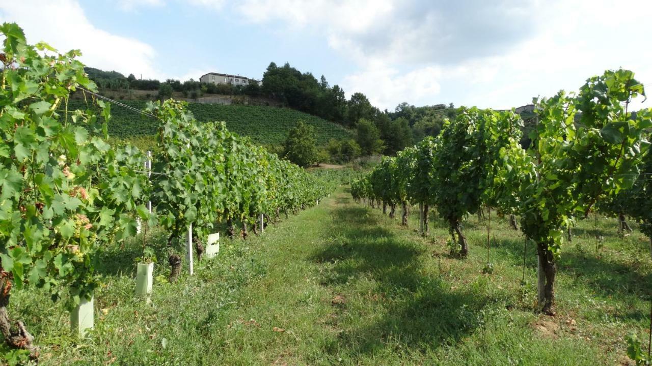 Corte Di Langa Cossano Belbo 外观 照片