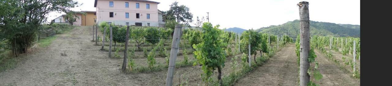 Corte Di Langa Cossano Belbo 外观 照片